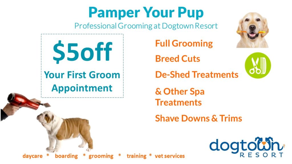 Pamper Your Pup. 5 off your First Grooming Appointment Dogtown